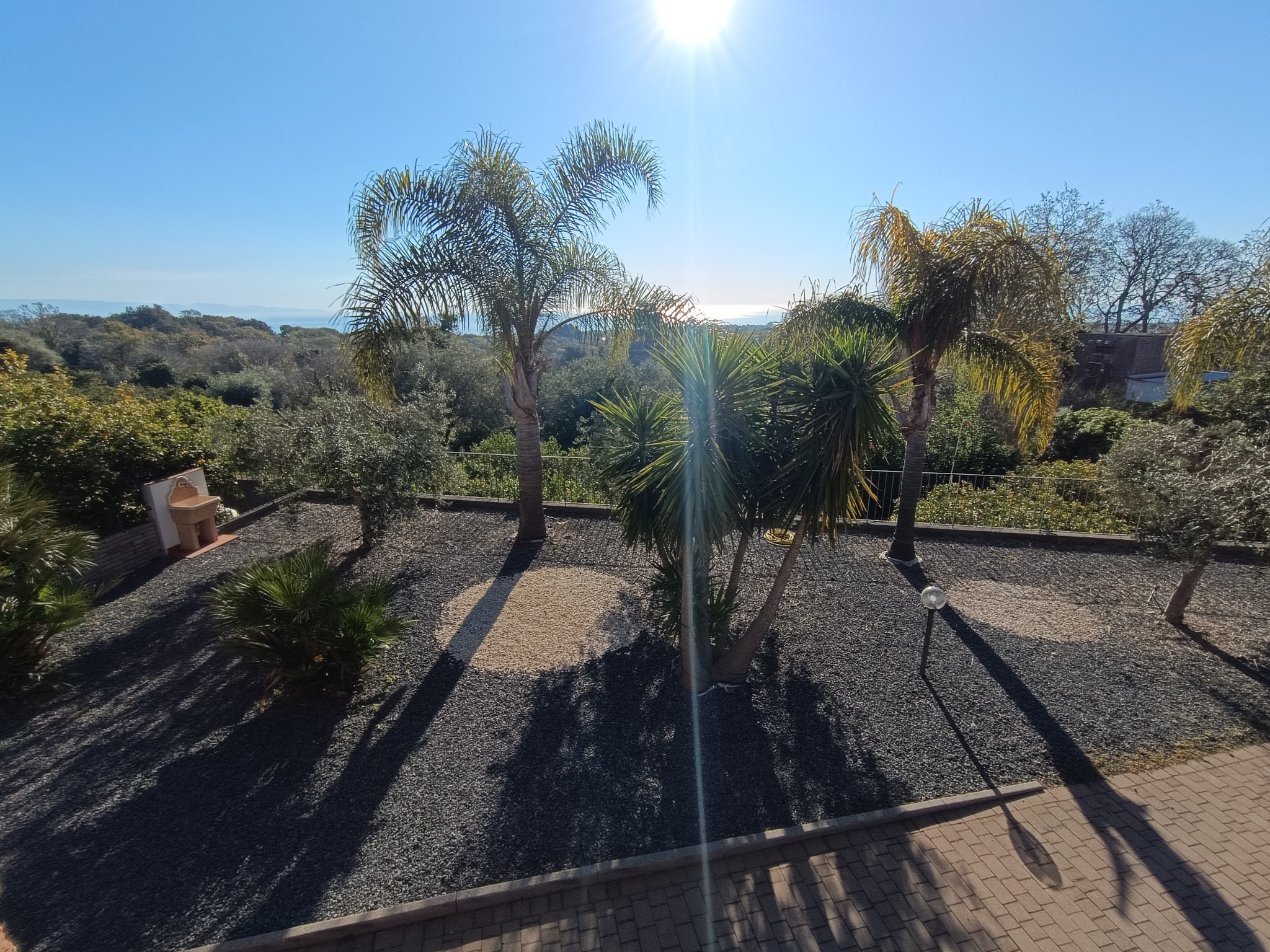 Giardino con palme e vista mare